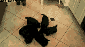 Daily GIFs Mix, part 942