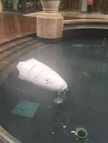 Robot Guard Drowns In A Fountain In Washington