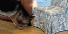Daily GIFs Mix, part 943