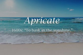 Long Lost Historical Words That You Need In Your Life
