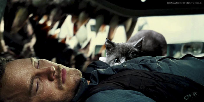 Someone Replaced All Of The Dinosaurs In Jurassic Park With Cats