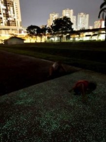 Luminous Path In Singapore Will Light Up Your Life
