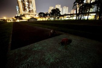 Luminous Path In Singapore Will Light Up Your Life