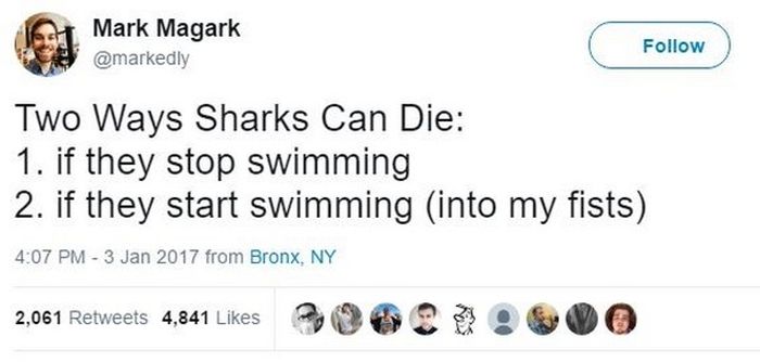 Hilarious Posts About Sharks That Are Sharktastic