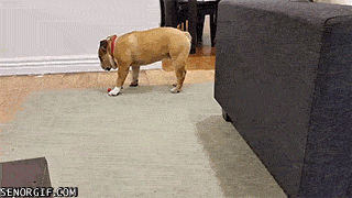 Daily GIFs Mix, part 951
