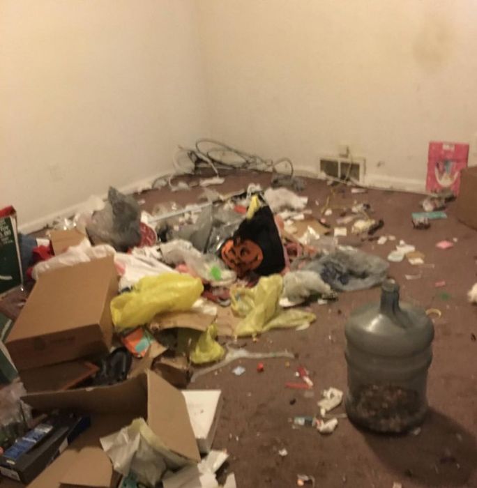 Family With Dogs Destroys Apartment