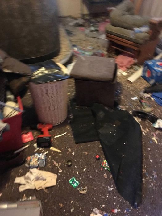 Family With Dogs Destroys Apartment