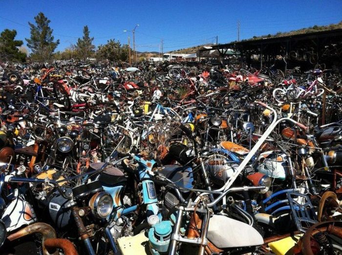 Bikes Are Collecting Rust In This Motorcycle Cemetery
