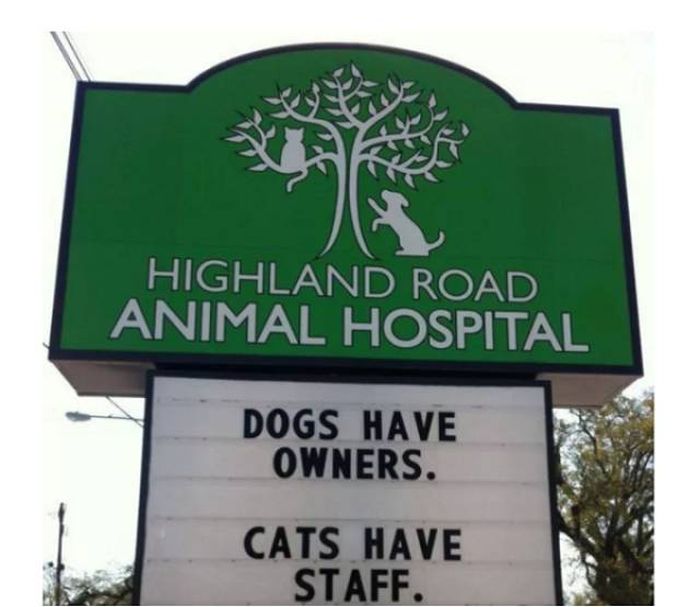 Hilarious Vet Clinic Signs That Will Crack You Up