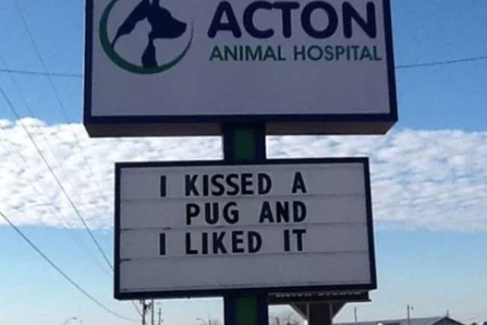 Hilarious Vet Clinic Signs That Will Crack You Up