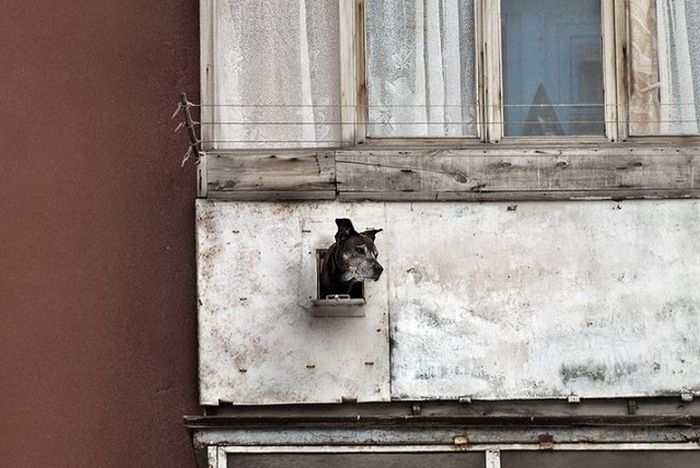 You Can See Some Strange Things On Balconies In Russia