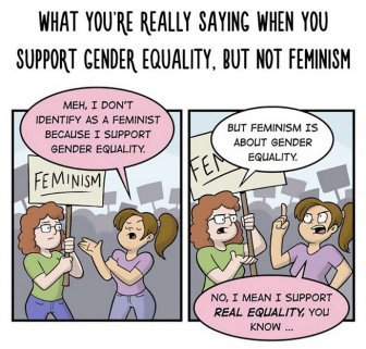 The Differences Between Gender Equality And Extreme Feminism
