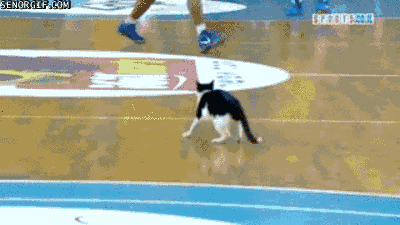 Daily GIFs Mix, part 957