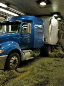 Truck Loaded With Hay Gets Stuck In A Tunnel