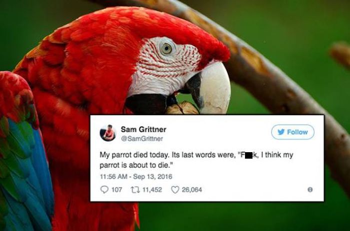 Hilarious Tweets That Only Evil People Will Laugh At