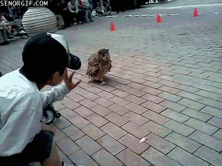 Daily GIFs Mix, part 960