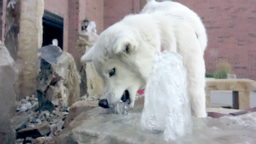 Daily GIFs Mix, part 960