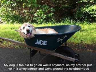 Pics That Will Tug At Your Heart Strings And Hit You In The Feels