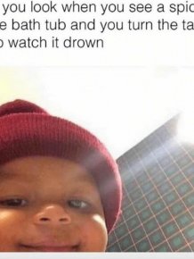 Random And Hilarious Memes That Everyone Needs To See
