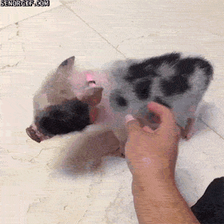 Daily GIFs Mix, part 962
