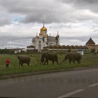 Russia Is A Place That Will Always Make You Say WTF