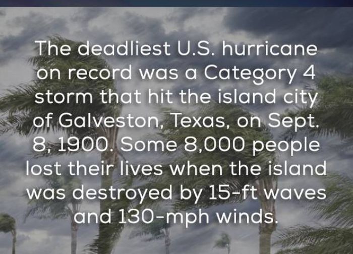 Facts That Will Help You Learn More About Hurricanes