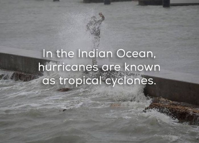 Facts That Will Help You Learn More About Hurricanes