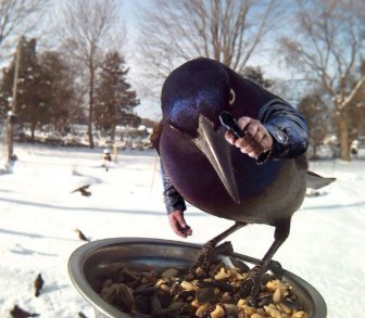 Human-Bird Hybrids