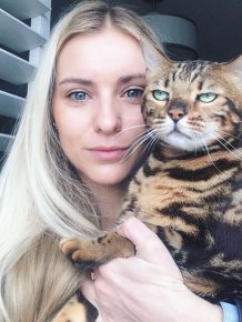 Cats That Didn’t Want To Be In Stupid Selfies