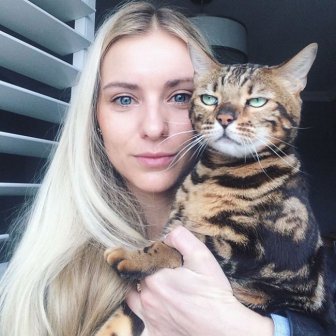 Cats That Didn’t Want To Be In Stupid Selfies