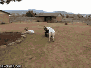 Daily GIFs Mix, part 967