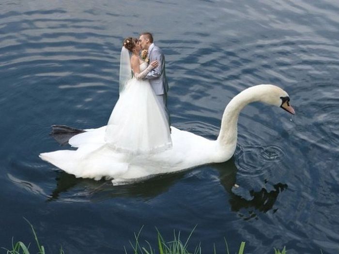 Awfully Photoshopped Russian Wedding Pictures