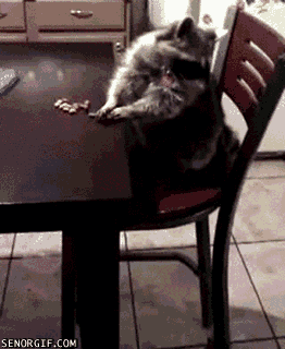 Daily GIFs Mix, part 969