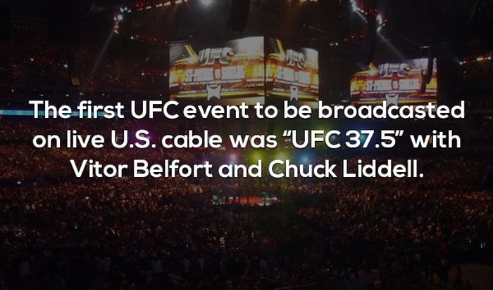 Interesting Facts About MMA and the UFC