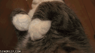 Daily GIFs Mix, part 974