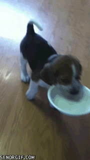 Daily GIFs Mix, part 974