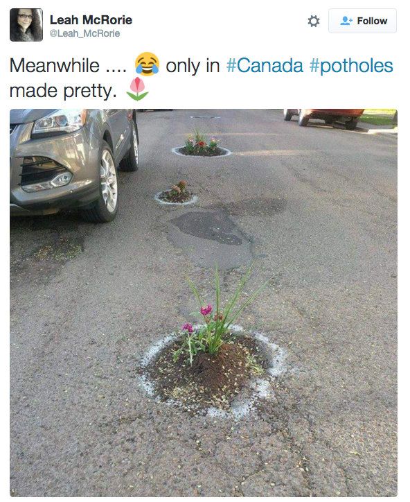 Meanwhile, in Canada, part 3