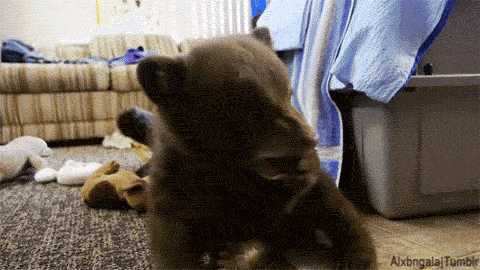 Daily GIFs Mix, part 977
