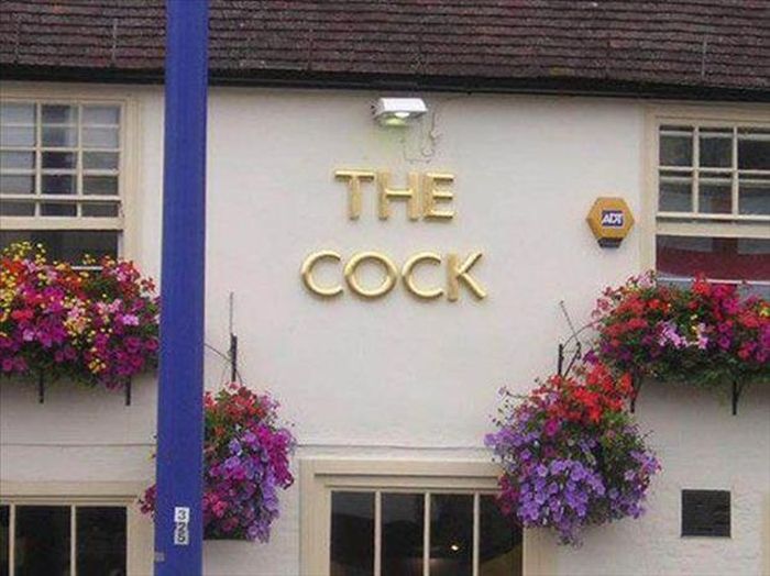 Funny Business Names