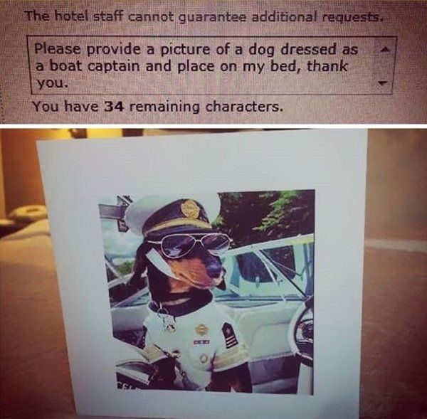 Hotels That Take Their Requests Seriously