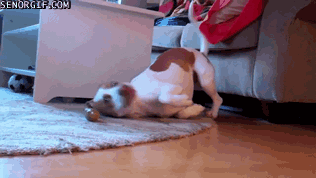 Daily GIFs Mix, part 980
