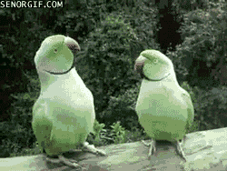 Daily GIFs Mix, part 980