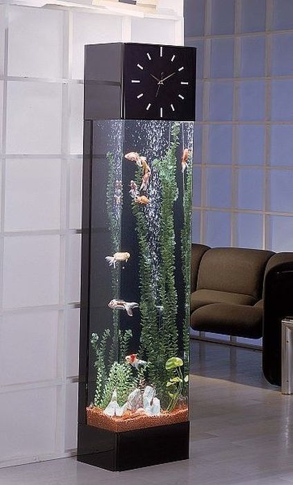 Cool Aquariums
