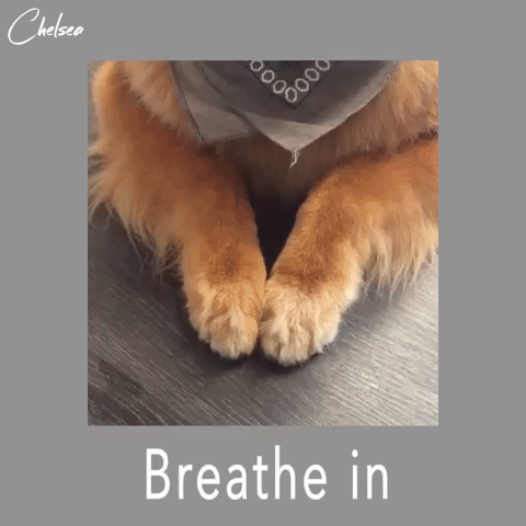 Breathing With These GIFs Will Help You Relax