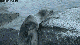 Daily GIFs Mix, part 987