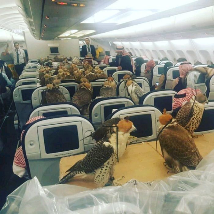 Funny And Interesting Photos From The Planes