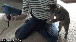 Daily GIFs Mix, part 991