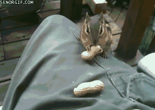 Daily GIFs Mix, part 992