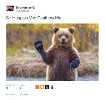 Twitter Users Create Better Names For Animals