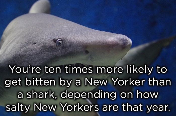 Weird Animal Facts